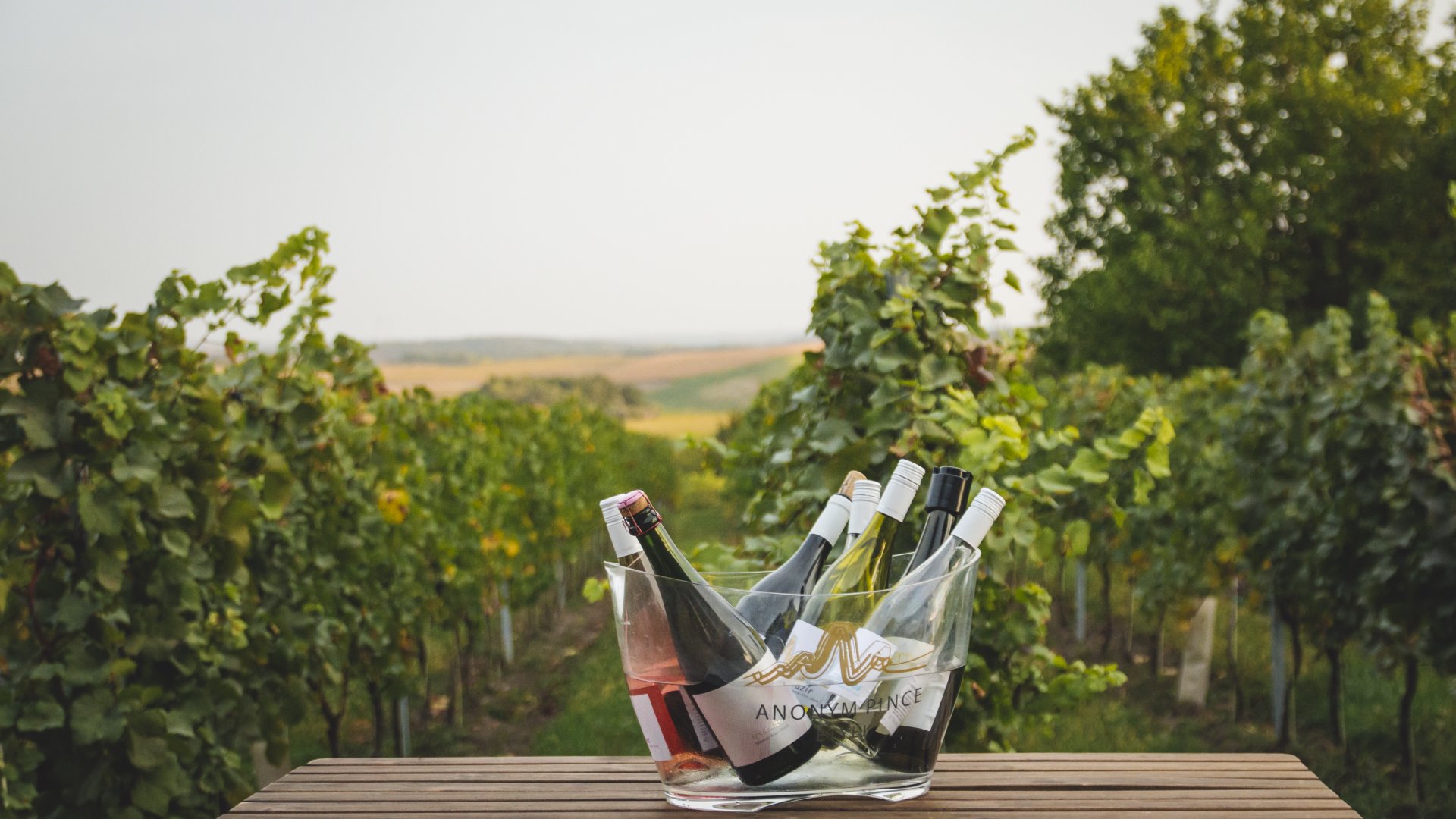 Best Hungarian Wines Near Budapest