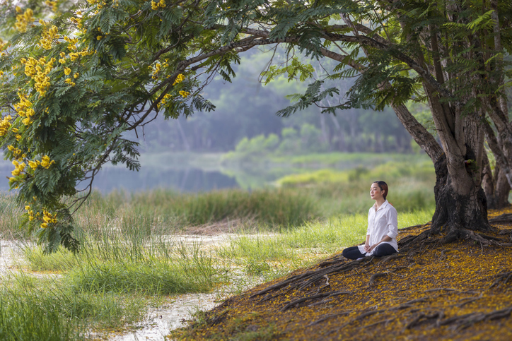 erdei wellness, erdőterápia